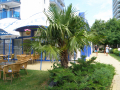 Sunny Beach