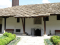 Tryavna