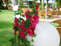 Sunny Beach
