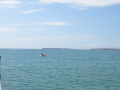 Sunny Beach