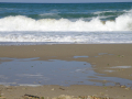 Sunny Beach