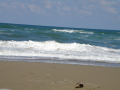 Sunny Beach