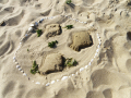 Sunny Beach
