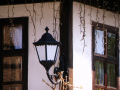 Tryavna