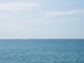 Sunny Beach