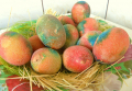 Easter