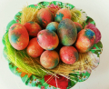 Easter