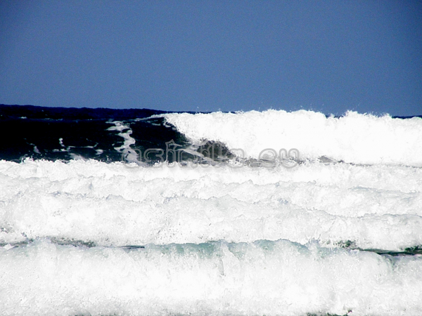 Summer 2011