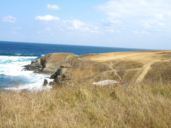 Summer 2011