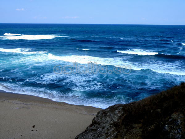 Summer 2011