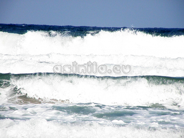 Summer 2011