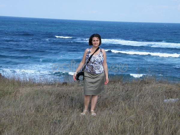 Summer 2011