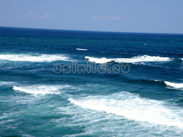 Summer 2011