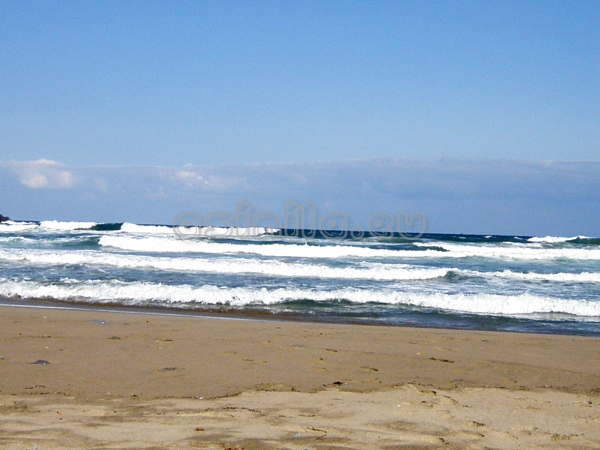 Summer 2011