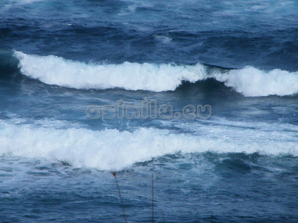 Summer 2011