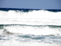 Summer 2011