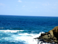 Summer 2011