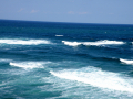 Summer 2011