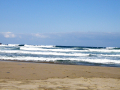 Summer 2011