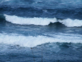 Summer 2011