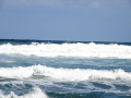 Summer 2011