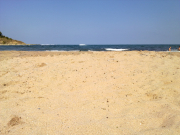 Summer 2011