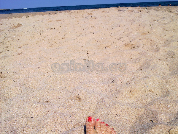 Summer 2011