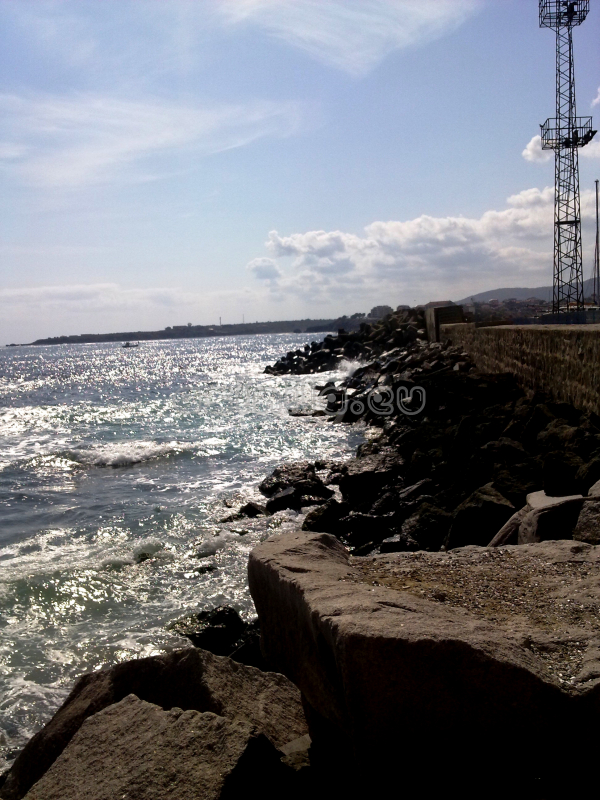 Summer 2011